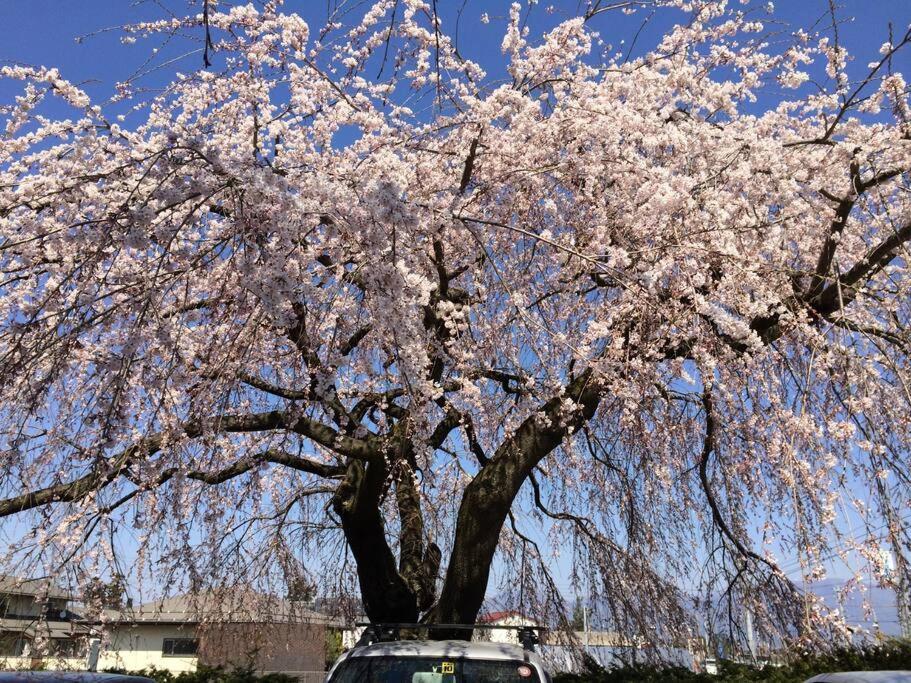 乗鞍高原の宿テンガロンハットb&Btengallonhat Matsumoto Exterior foto